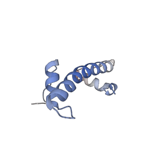 12450_7nky_f_v1-0
RNA Polymerase II-Spt4/5-nucleosome-FACT structure
