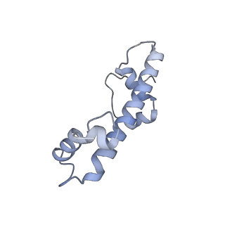 12450_7nky_g_v1-0
RNA Polymerase II-Spt4/5-nucleosome-FACT structure