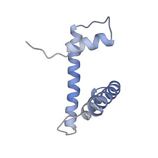 12450_7nky_h_v1-0
RNA Polymerase II-Spt4/5-nucleosome-FACT structure