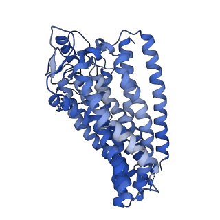 12451_7nkz_A_v1-1
Cryo-EM structure of the cytochrome bd oxidase from M. tuberculosis at 2.5 A resolution