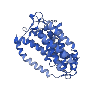 12451_7nkz_B_v1-1
Cryo-EM structure of the cytochrome bd oxidase from M. tuberculosis at 2.5 A resolution
