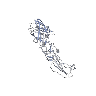 9393_6nk5_A_v1-4
Electron Cryo-Microscopy Of Chikungunya VLP
