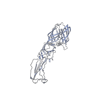 9393_6nk5_D_v1-4
Electron Cryo-Microscopy Of Chikungunya VLP