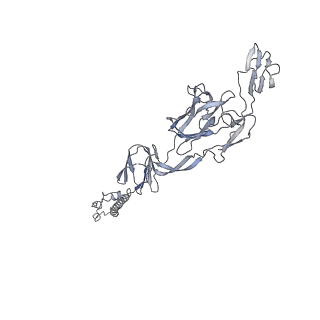 9393_6nk5_G_v1-4
Electron Cryo-Microscopy Of Chikungunya VLP