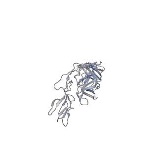 9393_6nk5_H_v1-4
Electron Cryo-Microscopy Of Chikungunya VLP