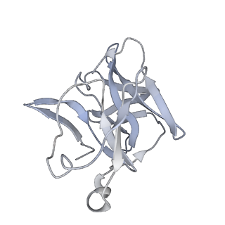 9393_6nk5_J_v1-4
Electron Cryo-Microscopy Of Chikungunya VLP