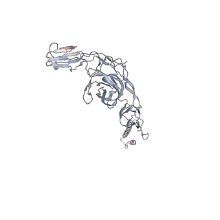 9394_6nk6_F_v1-4
Electron Cryo-Microscopy Of Chikungunya VLP in complex with mouse Mxra8 receptor
