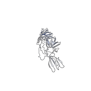 9395_6nk7_E_v1-4
Electron Cryo-Microscopy of Chikungunya in Complex with Mouse Mxra8 Receptor