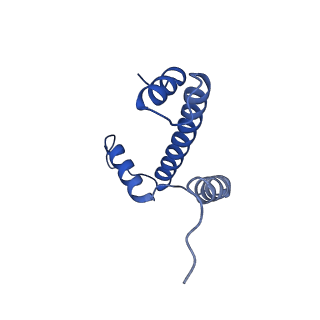 12453_7nl0_A_v1-1
Cryo-EM structure of the Lin28B nucleosome core particle