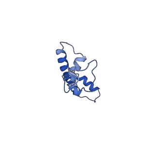 12453_7nl0_C_v1-1
Cryo-EM structure of the Lin28B nucleosome core particle