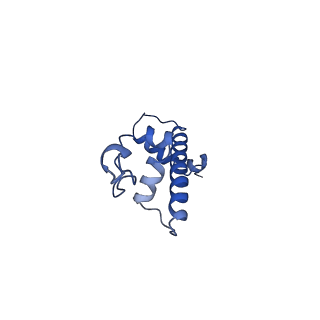 12453_7nl0_G_v1-1
Cryo-EM structure of the Lin28B nucleosome core particle