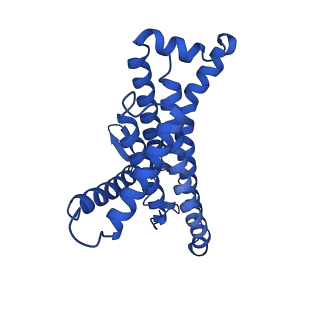 12461_7nl9_a_v1-1
Mycobacterium smegmatis ATP synthase Fo state 3