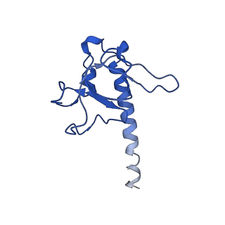 0445_6nma_A_v1-3
CryoEM structure of the LbCas12a-crRNA-AcrVA4 complex