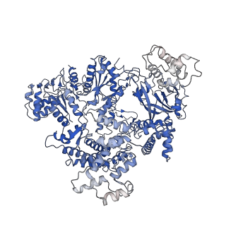 0445_6nma_B_v1-2
CryoEM structure of the LbCas12a-crRNA-AcrVA4 complex