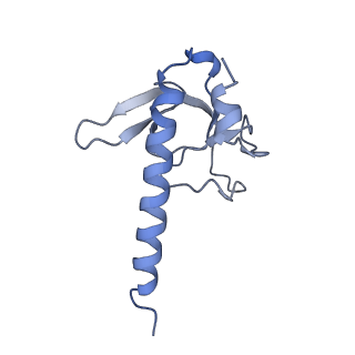 0445_6nma_C_v1-3
CryoEM structure of the LbCas12a-crRNA-AcrVA4 complex