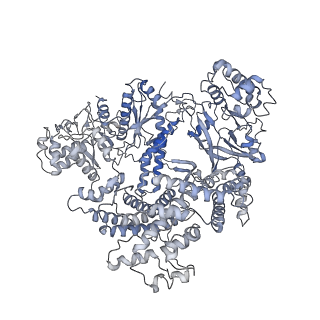 0446_6nmc_A_v1-1
CryoEM structure of the LbCas12a-crRNA-2xAcrVA1 complex