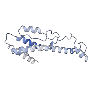 0446_6nmc_B_v1-1
CryoEM structure of the LbCas12a-crRNA-2xAcrVA1 complex