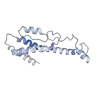 0446_6nmc_B_v1-2
CryoEM structure of the LbCas12a-crRNA-2xAcrVA1 complex