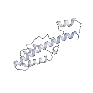 0446_6nmc_C_v1-1
CryoEM structure of the LbCas12a-crRNA-2xAcrVA1 complex