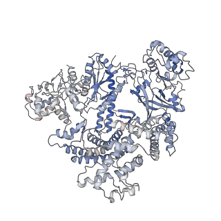 0447_6nmd_A_v1-2
cryo-EM Structure of the LbCas12a-crRNA-AcrVA1 complex