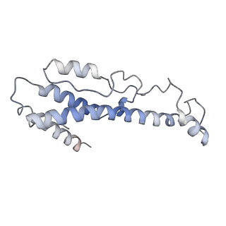 0447_6nmd_B_v1-2
cryo-EM Structure of the LbCas12a-crRNA-AcrVA1 complex