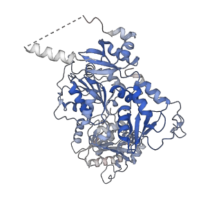 0452_6nmi_A_v1-2
Cryo-EM structure of the human TFIIH core complex