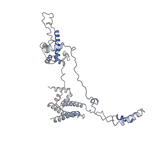 0452_6nmi_C_v1-2
Cryo-EM structure of the human TFIIH core complex