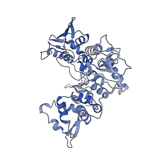 0452_6nmi_D_v1-2
Cryo-EM structure of the human TFIIH core complex