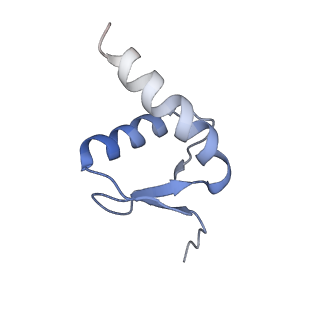 0452_6nmi_G_v1-2
Cryo-EM structure of the human TFIIH core complex