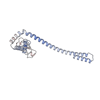 0452_6nmi_H_v1-2
Cryo-EM structure of the human TFIIH core complex