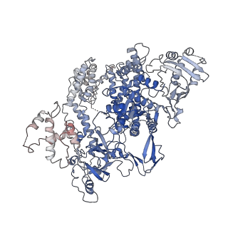 9398_6nm9_B_v1-1
CryoEM structure of the LbCas12a-crRNA-AcrVA4 dimer