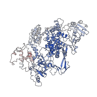 9398_6nm9_B_v1-2
CryoEM structure of the LbCas12a-crRNA-AcrVA4 dimer