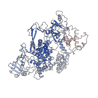 9398_6nm9_D_v1-2
CryoEM structure of the LbCas12a-crRNA-AcrVA4 dimer