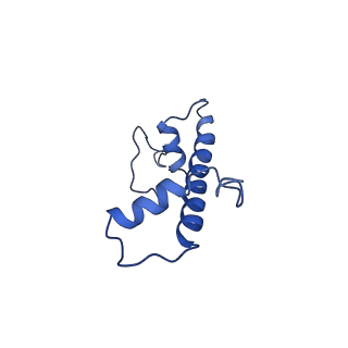 0458_6nn6_C_v1-2
Structure of Dot1L-H2BK120ub nucleosome complex