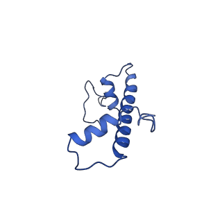 0458_6nn6_C_v1-3
Structure of Dot1L-H2BK120ub nucleosome complex