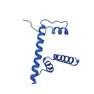 0458_6nn6_D_v1-2
Structure of Dot1L-H2BK120ub nucleosome complex