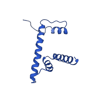 0458_6nn6_D_v1-3
Structure of Dot1L-H2BK120ub nucleosome complex