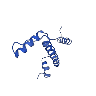 0458_6nn6_E_v1-3
Structure of Dot1L-H2BK120ub nucleosome complex