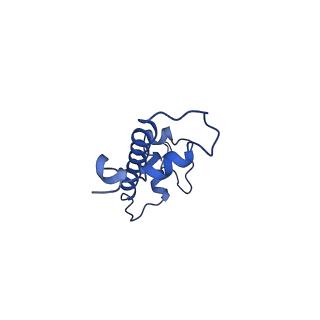 0458_6nn6_G_v1-2
Structure of Dot1L-H2BK120ub nucleosome complex