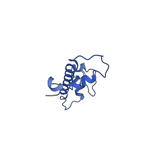 0458_6nn6_G_v1-3
Structure of Dot1L-H2BK120ub nucleosome complex