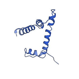 0458_6nn6_H_v1-2
Structure of Dot1L-H2BK120ub nucleosome complex