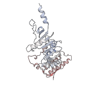 0458_6nn6_K_v1-2
Structure of Dot1L-H2BK120ub nucleosome complex