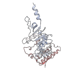 0458_6nn6_K_v1-3
Structure of Dot1L-H2BK120ub nucleosome complex