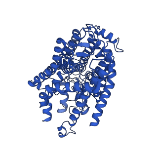 12478_7nnl_A_v1-1
Cryo-EM structure of the KdpFABC complex in an E1-ATP conformation loaded with K+