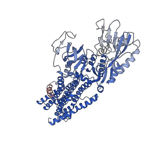12478_7nnl_B_v1-1
Cryo-EM structure of the KdpFABC complex in an E1-ATP conformation loaded with K+