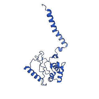 12478_7nnl_C_v1-1
Cryo-EM structure of the KdpFABC complex in an E1-ATP conformation loaded with K+