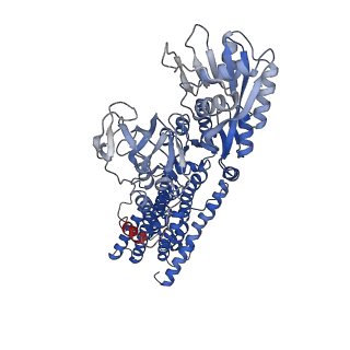 12482_7nnp_B_v1-1
Rb-loaded cryo-EM structure of the E1-ATP KdpFABC complex.