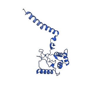 12482_7nnp_C_v1-1
Rb-loaded cryo-EM structure of the E1-ATP KdpFABC complex.