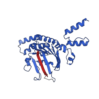 12483_7nnt_A_v1-1
Cryo-EM structure of the folate-specific ECF transporter complex in DDM micelles