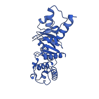 12483_7nnt_B_v1-1
Cryo-EM structure of the folate-specific ECF transporter complex in DDM micelles